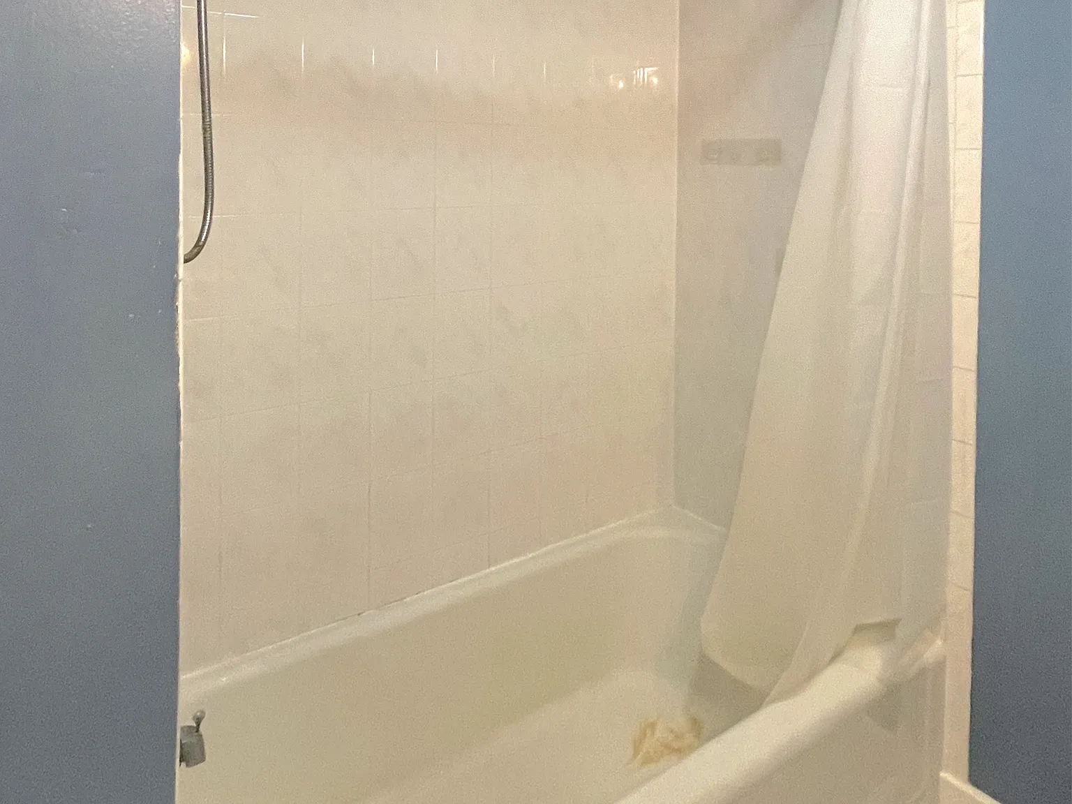 2 bed, 925 sqft, $1,100 — Photo 3