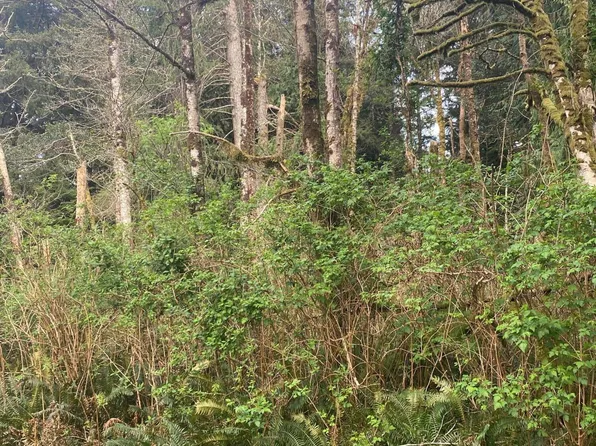 1000 Tl Dr SE #54, Lincoln City, OR 97367