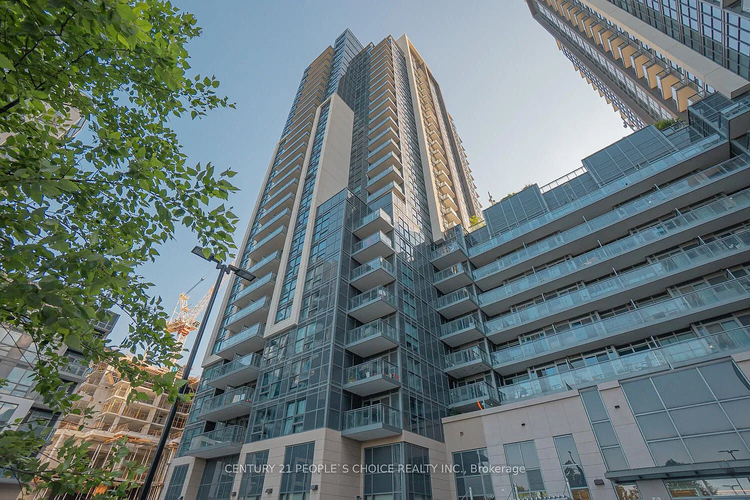 3 bed, $2,900 — Photo 2
