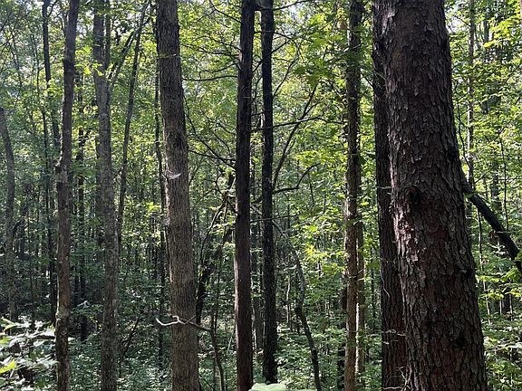 2nd image of 552 New Providence Rd