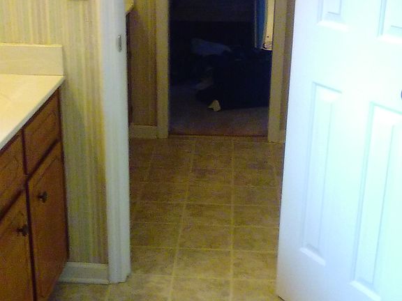 M bath w 2 sinks and door 