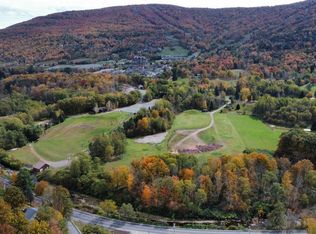 0 South St, Windham, NY 12496