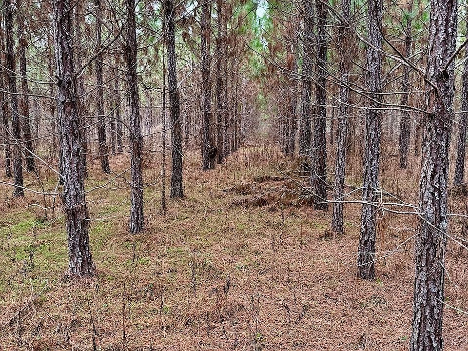 1st image of 0 John M Brewton Rd