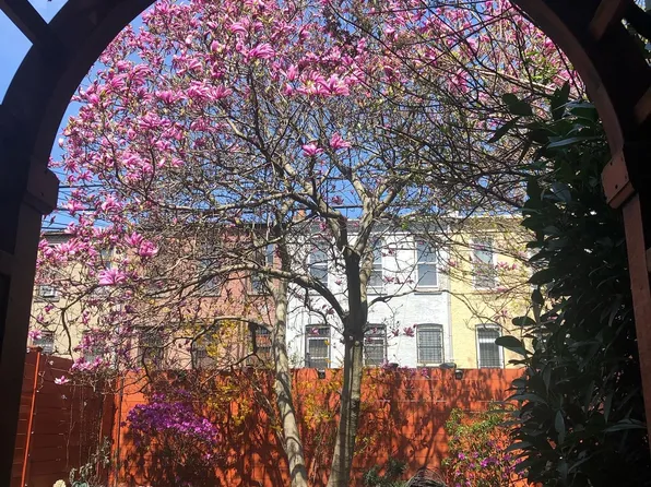 441 Mac Donough Street image 8 of 13