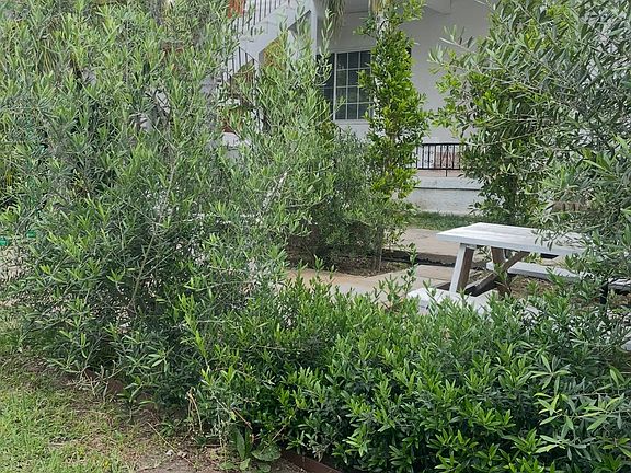 Front yard view looking towards home