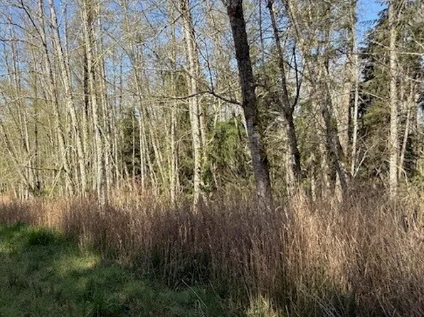 0 Ander Park Road, Freeland, WA 98249