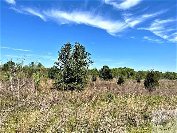 2nd image of 8102/DEERFIELD Road
