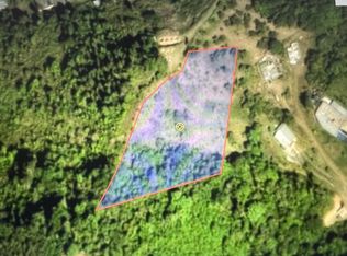 Carr 155 Km 26.0 Bo Saltos, Orocovis, PR 00720