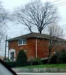 1st image of 26008 81st Ave