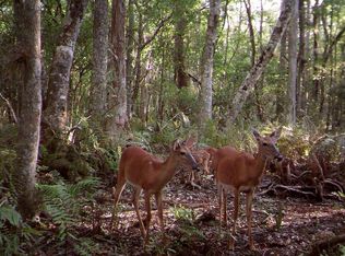 2329 Old Train Rd, Deltona, FL 32738