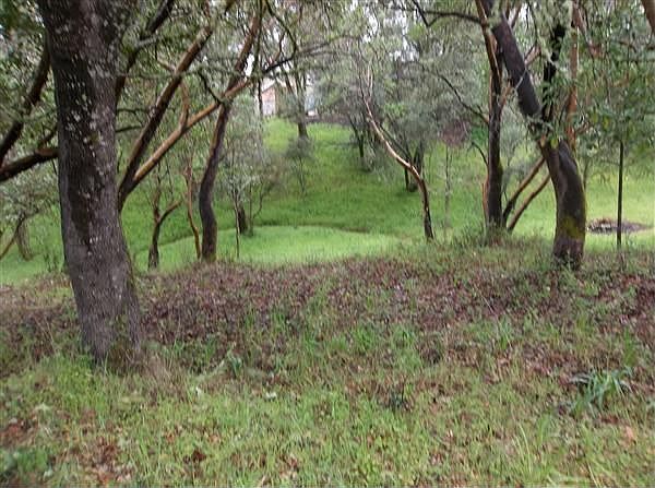 2nd image of 9631 East Rd