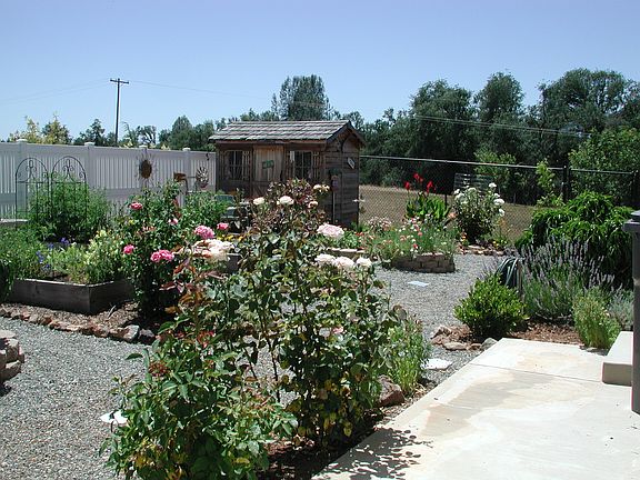 Garden Area