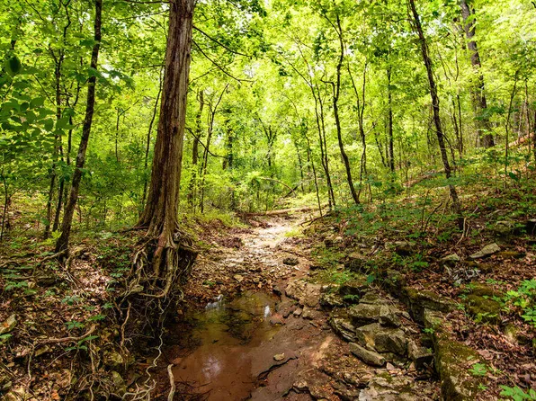 Tbd Valley View Road, Forsyth, MO 65653