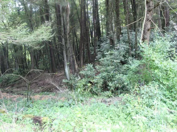 0 Jerry Branch Rd, Mount Nebo, WV 26679