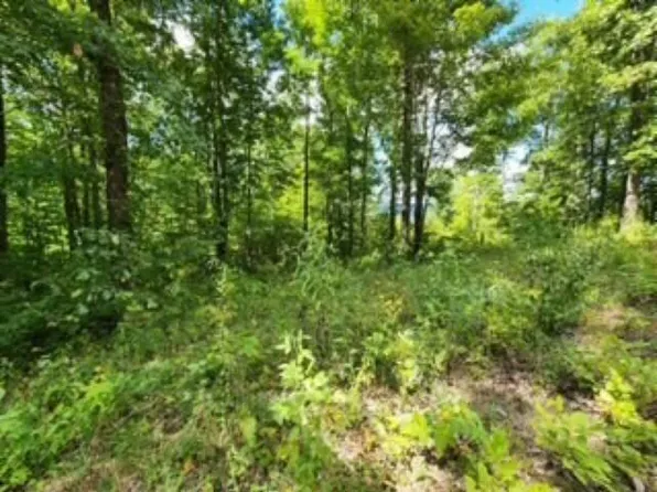 1434AC Tomahawk Rd, Jamestown, TN 38556