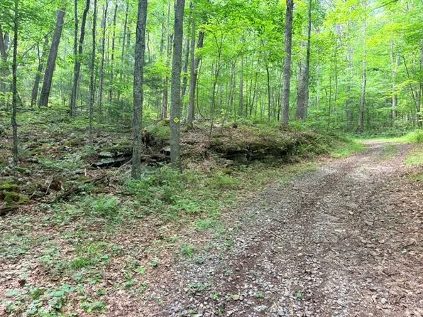 0 Molly Mann Rd, Hinton, WV 25951