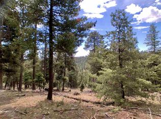 124 Big Dipper, Cloudcroft, NM 88317