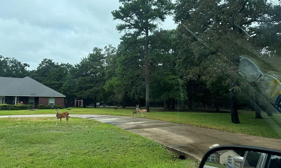 2nd image of 7207 Pedernales N