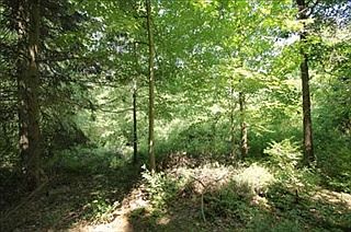 3rd image of 2235 Kamp Valley Ct NE