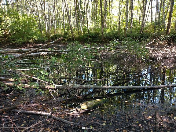 Pond on the property>