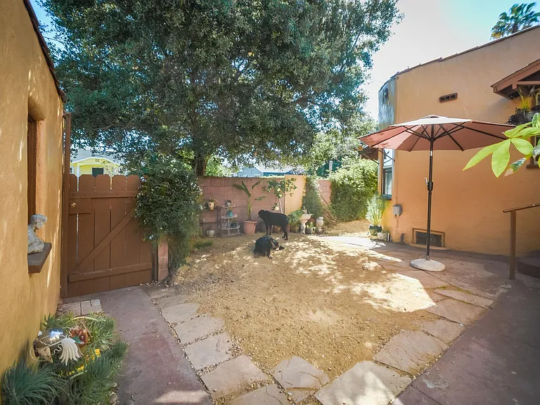 Back yard