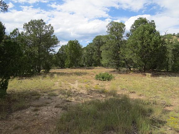 2nd image of LOT 3 Americana Park Bon Carbo Lot 3