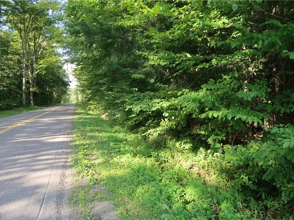 LOT 10 German Rd Lot 10, Willet, NY 13863