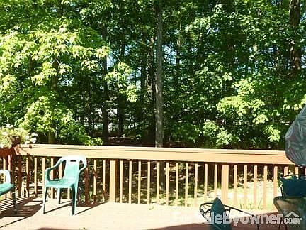 gorgeous wooded lot