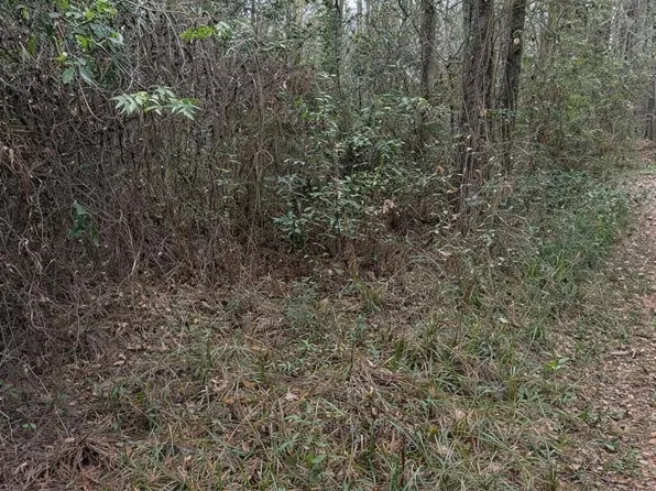 Beechwood St, Pass Christian, MS 39571