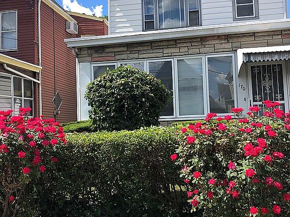 Roses in the spring & summer