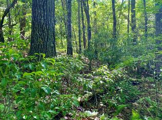0 Deer Run Rd LOT 25, Robbinsville, NC 28771