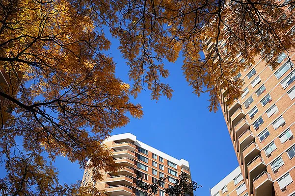 Rented by Pinnacle City Living | media 229