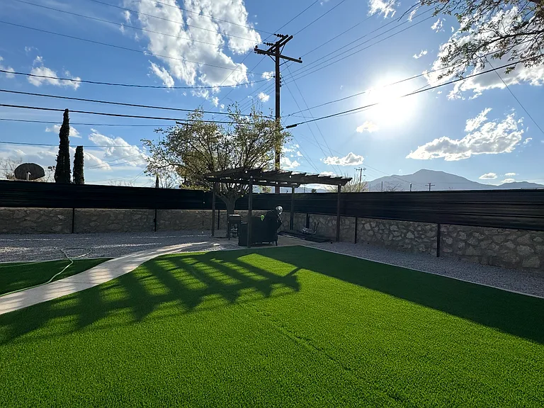 Backyard w/Privacy fence