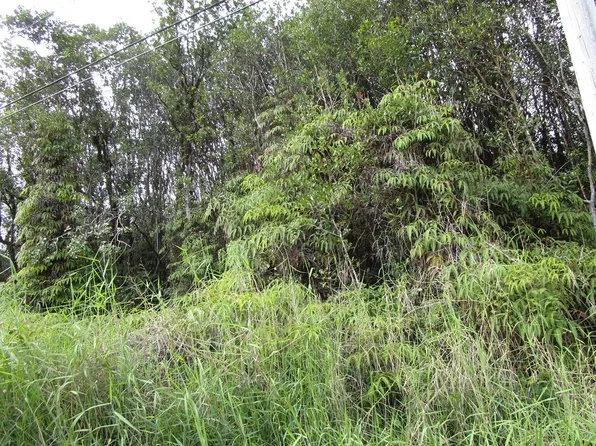 Waikiki St Lot 15, Mountain View, HI 96771