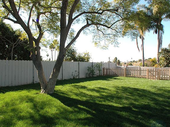 Back yard, notice fenced veggie garden!!!