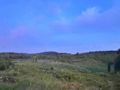 169 County Road 188, Decatur, TN, 37322