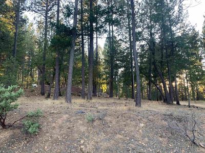 2776 Ridgerun Rd, Quincy, CA, 95971