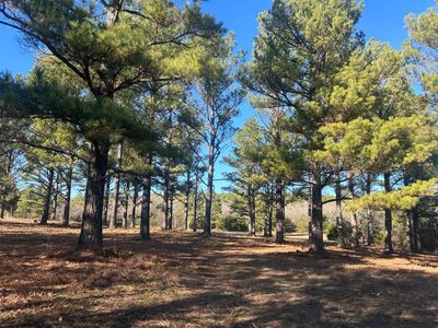 0 E Greasy Bend Rd, Stringtown, OK, 74569