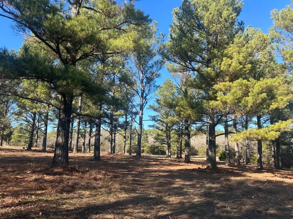 0 E Greasy Bend Rd, Stringtown, OK 74569