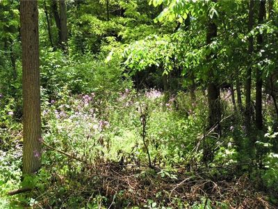 9 & 10 Sunset St, Conneaut Lake, PA, 16316