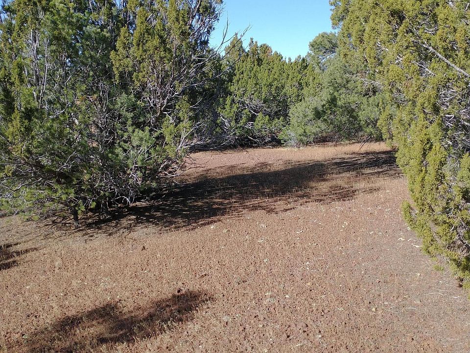 1st image of 31 County Road 3128
