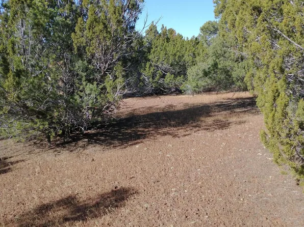 31 County Road 3128, Vernon, AZ 85940