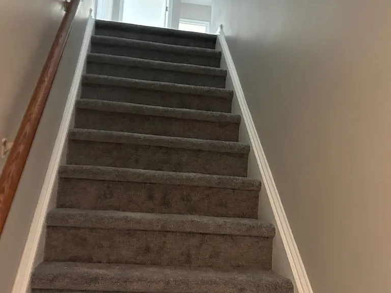 11615 Ragan Elizabeth Ct — Photo 15