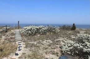 2nd image of 610 S Bay Shore Dr