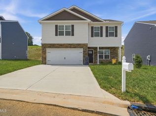 127 Mint Ct, Bluff City, TN 37618