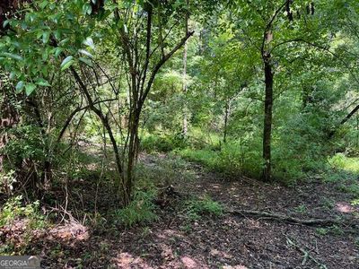127 S Ole Hickory Trl, Carrollton, GA, 30117