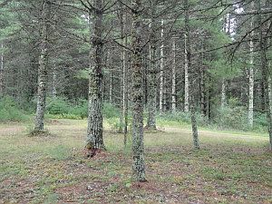 2nd image of Beaver Creek Rd Lot 10