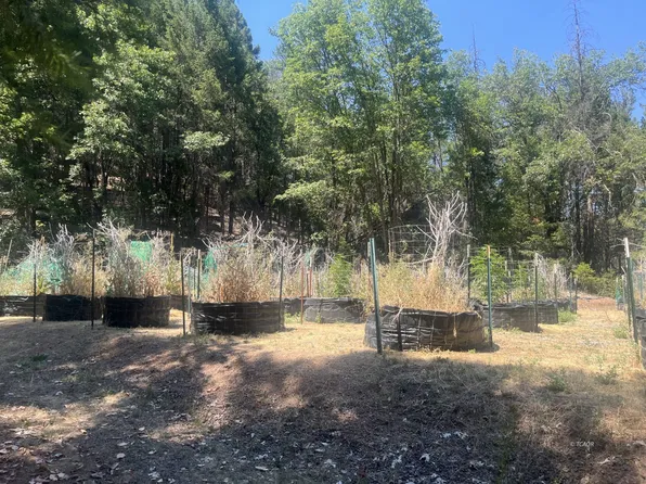 611 Hillside Rd, Douglas City, CA 96024