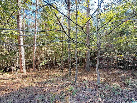 3rd image of 803 Hunters Crossing Rd #6
