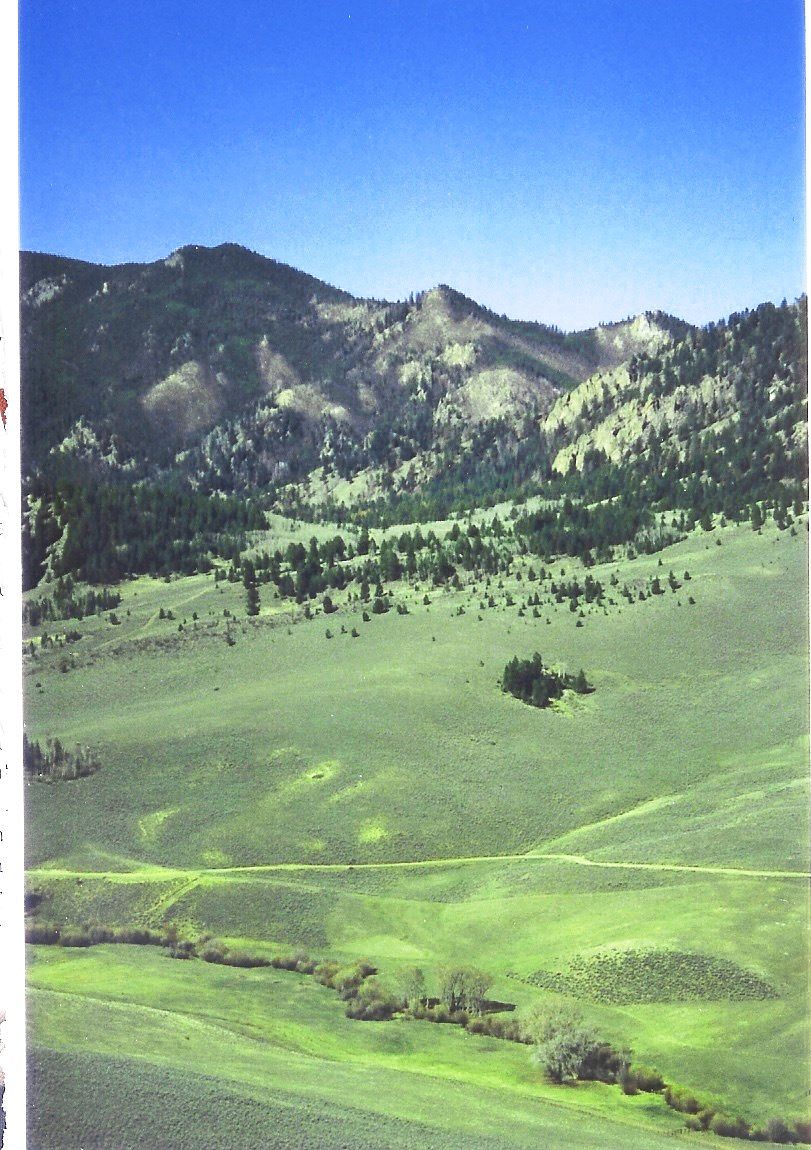 633 County Road 24, Gunnison, CO 81230 Zillow